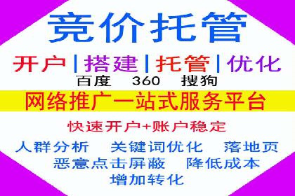 搜索引擎优化（SEO）与竞价广告（SEM）的对比案例